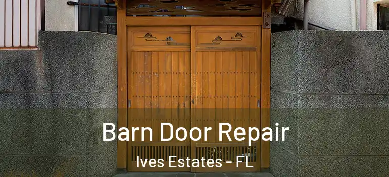  Barn Door Repair Ives Estates - FL
