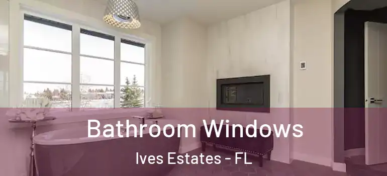  Bathroom Windows Ives Estates - FL