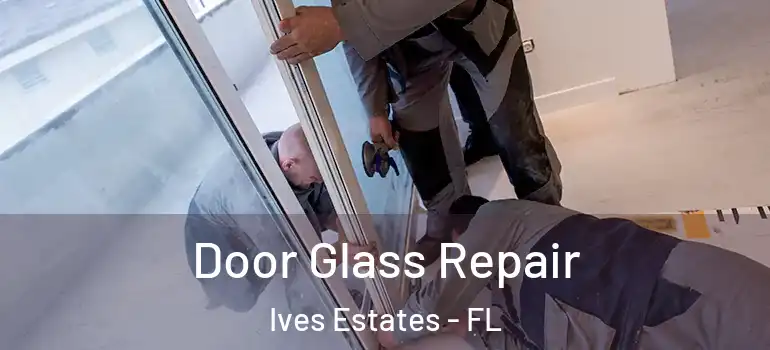  Door Glass Repair Ives Estates - FL