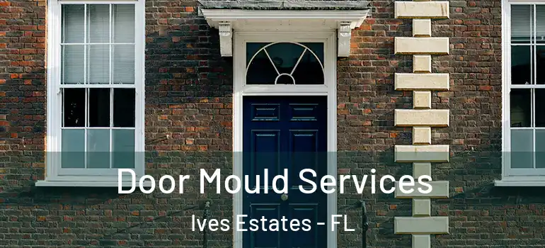  Door Mould Services Ives Estates - FL