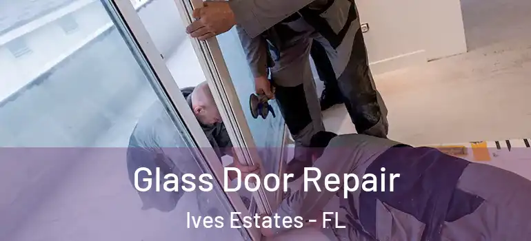  Glass Door Repair Ives Estates - FL