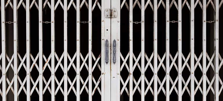 Steel Line Garage Door Repairs in Ives Estates, FL