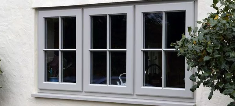 Stormproof Windows With Tinted Glass Services in Ives Estates, FL
