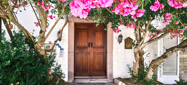 Traditional 4 Panel Internal Doors in Ives Estates, FL