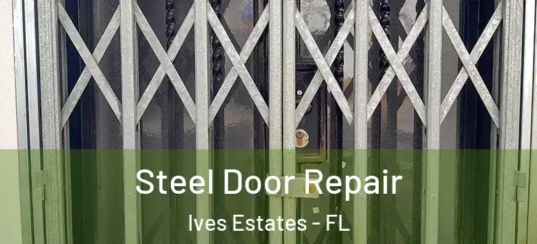  Steel Door Repair Ives Estates - FL